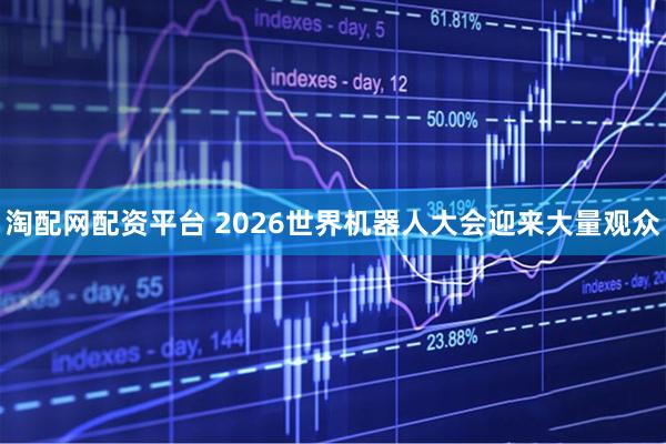 淘配网配资平台 2026世界机器人大会迎来大量观众