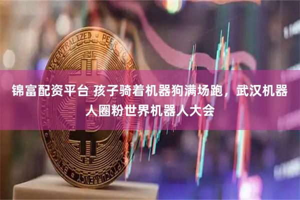 锦富配资平台 孩子骑着机器狗满场跑，武汉机器人圈粉世界机器人大会